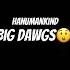 HanumanKind Big Dawgs It S Crazy