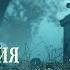 Расследование аномального 3 Аудиокнига Мистика Триллер Приключения