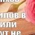 Аудиокнига Роман Доктор Данилов в роддоме или Мужикам тут не место Андрей Шляхов