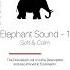 Elephant Sound Elephant Sound Effect Animal SFX Elephant