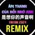 是想你的声音啊 0 9X 说唱版 DJ抖音版 2024 Âm Thanh Của Nỗi Nhớ Anh Remix Tiktok 果妹 傲七爷 Aioz Hot Douyin