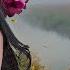 ТУМАН МУЗЫКА ДУШИ WLV ДУШЕВНЫЙ ХИТ ДУША ТАНЦУЕТ RUSSISCHE MUSIK RUSSIIAN MUSIC HITS WLV