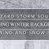 Blizzard Storm Sounds Relaxing Winter Background Heavy Wind And Snow Sounds