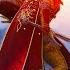 Red Dragon Finishes Them In Unmerciful Fire For Honor