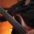 FIRST FRAGMENT Soif Brûlante Fretless Bass Playthrough By Dominic Forest Lapointe