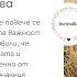 Как да разбираме чувствата на децата Десислава Дамянова