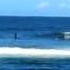 Sup Dolphin Crash 1