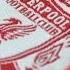 A Liverbird Upon My Chest Liverpool FC Song