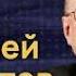 Андрей Девятов и Максим Шевченко о глобальных проектах