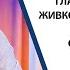 Едва ли не под строй да гласуват Добромир Живков за атмосферата преди вота в смесените райони