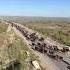 Million Horses Kazakh Steppe