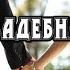 СВАДЕБНАЯ Автор стихов Евгений Шаталов Муз аранж и исп Кирилл Потылицын