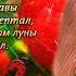 СЛАДКИЙ МЕД в исполнении ИГОРЯ КИБИРЕВА