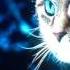 Creatures Of The Night Warrior Cats Mapleshade