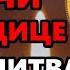 ВКЛЮЧИ ЭТУ МОЛИТВУ БОГОРОДИЦЕ ТВОРИТ ЧУДЕСА Молитва Пресвятой Богородице Православие