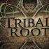 Tribal Roots Vol 2 Mixed By Man With No Name Dacru Records