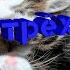 Коты Воители Знак трёх Пролог