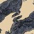 Fever In The Steppe