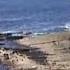 Под водой с Вадимом Малышем 490 Побережье Шотландии