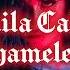 CAMILA CABELLO SHAMELESS ACAPELLA VER VOCALS ONLY