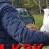 Весь хутор под видеонаблюдением только никому не говорите под каким Приехал товарищ за поросятами