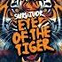 Survivor Eye Of The Tiger Mike Frost Remix