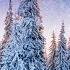 Peaceful Instrumental Christmas Music Relaxing Christmas Music The Christmas Pines Tim Janis