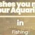 Fishing And Life Top 20 Best Fish For Your Aquarium 2022