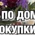 ВЛОГ ДЕЛА ПО ДОМУ КЛАССНЫЕ ПОКУПКИ В ДОМ ПРИВЕЛИ СОБАКУ В ПОРЯДОК Будни Мамы Влог