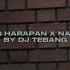 DJ HILANG HARAPAN X NASTY GIRL BY DJ TEBANG VIRAL FYP TIKTOK MENGKANEE