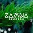 Animal Picnic 19 26 Disobedience Original Mix ZAMNA Records