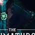 ПАПИЧ ОЦЕНИЛ ПОЛЬСКУЮ РПГ ИГРУ THE THAUMATURGE