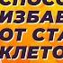 Самый доступный способ избавиться от старых клеток давно известное растение