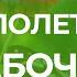 Практика медитация от Отца Абсолюта Полет бабочки