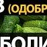 Болит колено Лечение суставов народными средствами 5 полезных советов