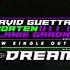 David Guetta MORTEN Ft Lanie Gardner Dreams Extended Mix TOR23 Intro Edit