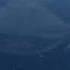 El Gran Maja Evolution 2020 2023 Shorts Ocean Bloop Bloop2024 Spacebloop