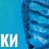 Сколько живут клетки нашего организма Обновление клеток организма