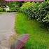 It S A Rainy Dai 11 06 2025