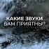 Почему нас привлекают звуки природы Жмите на этот текст и читайте подробное описание медитация