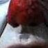 Trance Generators Do U Wanna Balloon Original Mix