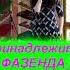 ЦЕЛУЮ тебя ЦЕЛУЮ