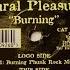 Aural Pleasure Burning High Society Flame Grilled Dub