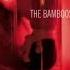 The Bamboos Medicine Man Full Album