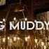 Hayde Bluegrass Orchestra Crossing Muddy Waters John Hiatt Cover