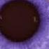 Purple Eyes Forced Subliminal