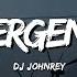 DJ Johnrey EMERGENCY Budots Remix Lyrics