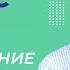 Размножение Видеоурок 15 Биология 9 класс