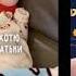Учебная неделька а я тефтелька Подписуюсь взаимно