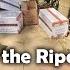 Save The Riparian Phase 3 Ep 19